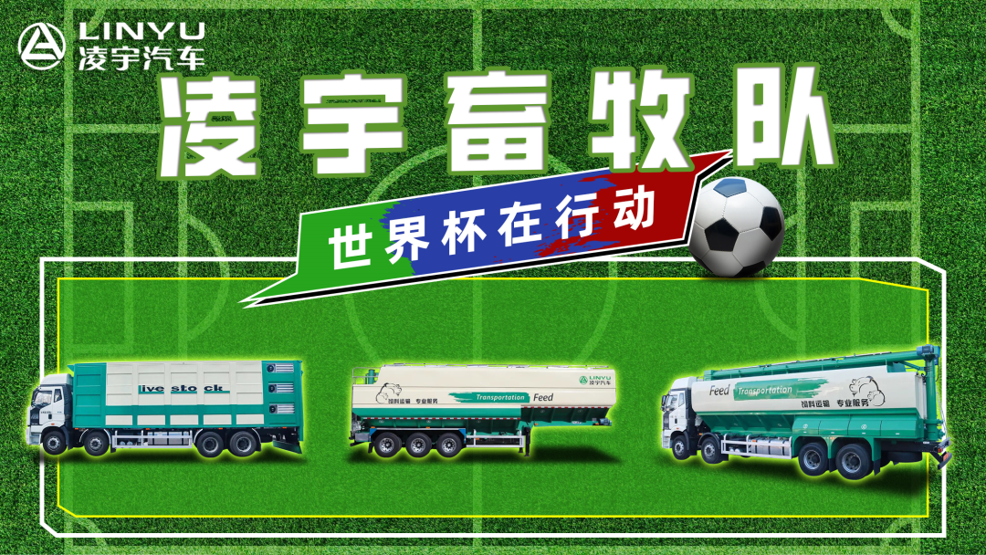 奪冠世界杯！你注意到這支球隊了嗎？
